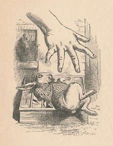 'Alice putting her hand down to the White Rabbit', 1889. Artist: John Tenniel.