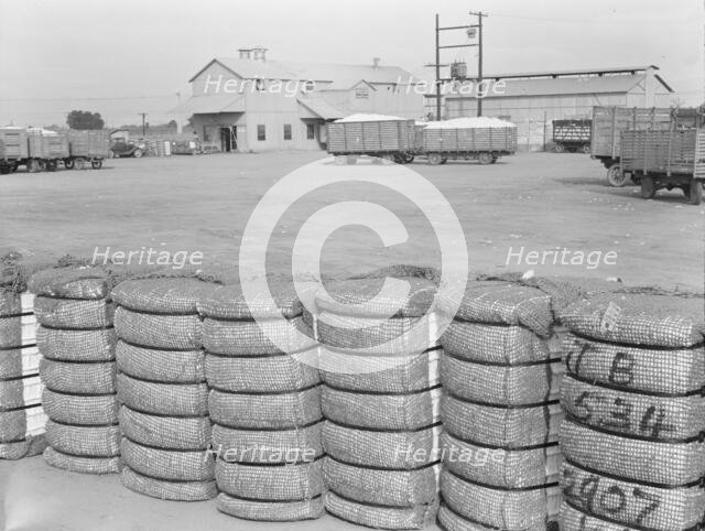 Kaweah Delta Cooperative cotton gin and yard, Tulare County, CA, 1938. Creator: Dorothea Lange.