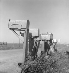 Mail boxes of lettuce workers. Settlement on outskirts of Salinas, California, 1939. Creator: Dorothea Lange.