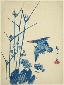 Kingfisher and monochoria, c. 1830/44. Creator: Ando Hiroshige.