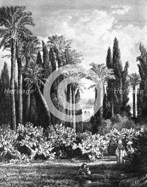 'Princely Garden in Cairo, Egypt', 1880. Artist: Unknown