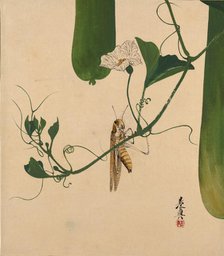 Lacquer Paintings of Various Subjects: Grasshopper on Gourd Vine, 1882. Creator: Shibata Zeshin.