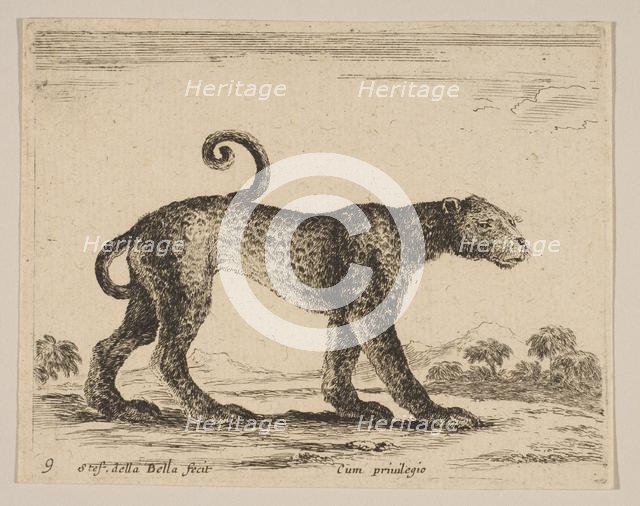 Plate 9: leopard, from 'Various animals' (Diversi animali), ca. 1641. Creator: Stefano della Bella.