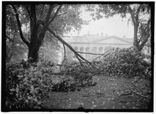 Storm Damage, between 1913 and 1918. Creator: Harris & Ewing.