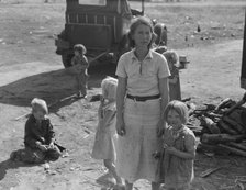 Oklahoma mother of five children, now picking cotton in California, near Fresno, 1936. Creator: Dorothea Lange.