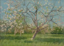 Study of Blooming Trees in an Orchard, around 1900. Creator: Ladislav Mednyanszky.