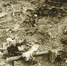 Human remains, Verdun, northern France, c1914-c1918. Artist: Unknown.