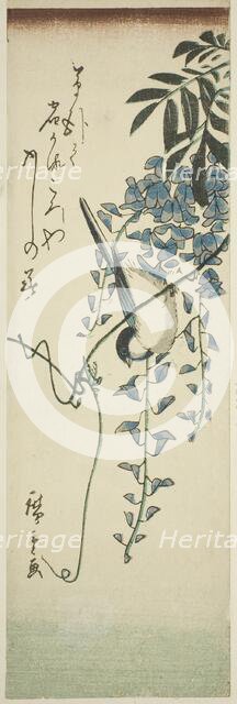 Bird and wisteria, n.d. Creator: Ando Hiroshige.