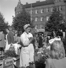 Potted plant stall in the market, Malmö, Sweden, 1947. Artist: Otto Ohm