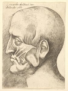 Ecorche head of a man in profile to left, 1660. Creator: Wenceslaus Hollar.
