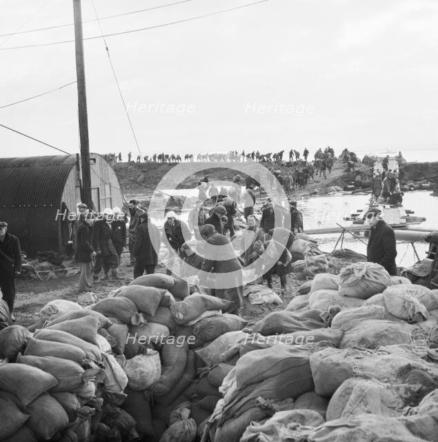 Coryton Oil Refinery, Thurrock, Essex, 02/02/1953. Creator: John Laing plc.