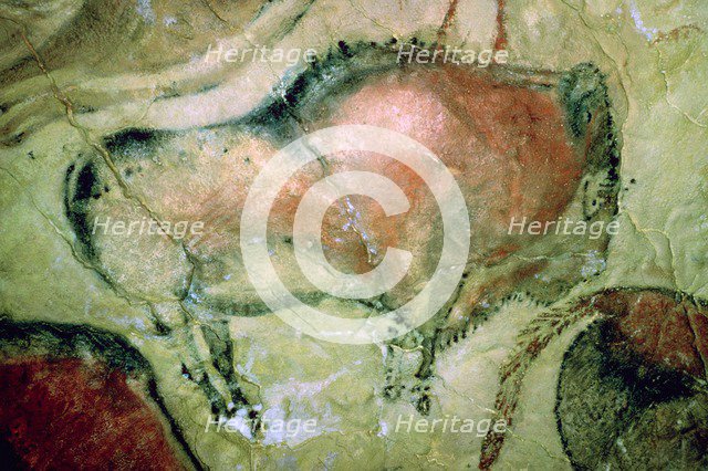 Paleolithic cave-painting of Bison from Spain. Artist: Unknown