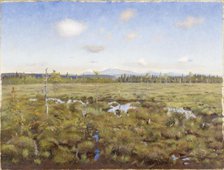 Landscape from Lapland, 1892. Creator: Torsten Wasastjerna.