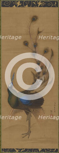 Peacock, 1786. Creator: Mori Sosen.