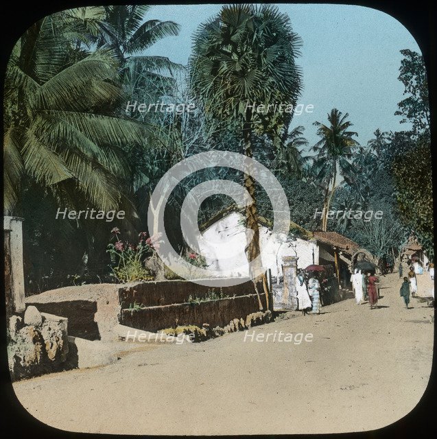 Road from Colombo to Galle, Colombo, Ceylon, late 19th or early 20th century. Artist: Unknown