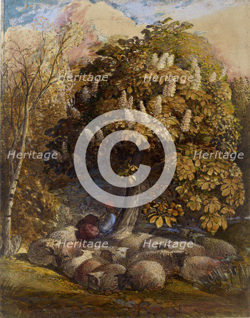 Pastoral with a Horse Chestnut Tree, c1830-1831. Artist: Samuel Palmer.
