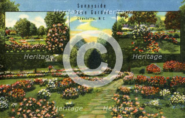 'Sunnyside Rose Garden, Charlotte, N.C.', 1942. Creator: Unknown.