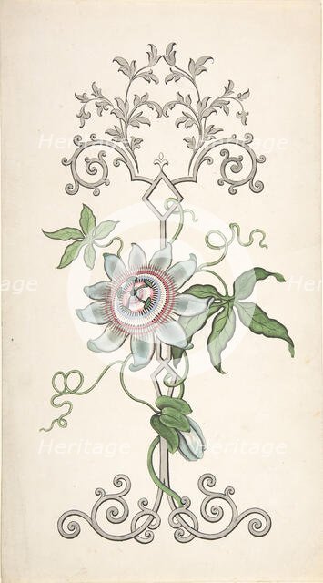 Design for Panel Decoration Centered on a Passion Flower, 1828-40. Creator: J Hulme.