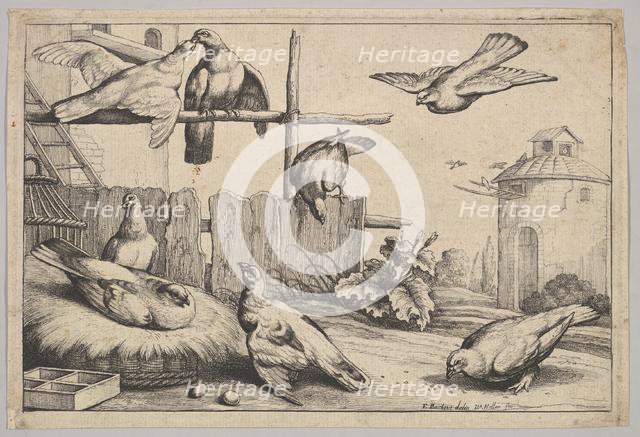 Eight doves, 1625-77. Creator: Wenceslaus Hollar.