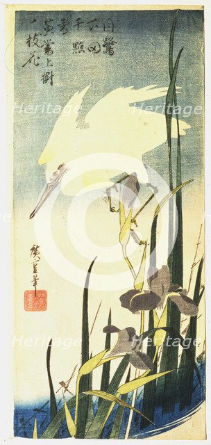 'White Heron and Irises', 1833. Artist: Ando Hiroshige