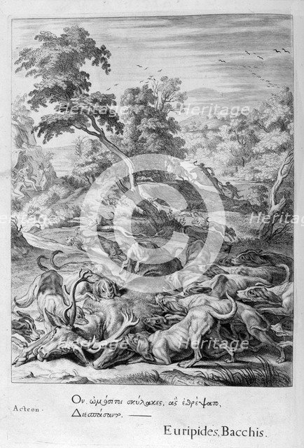 Actaeon turned into a stag and devoured by his hounds, 1655. Creator: Unknown.