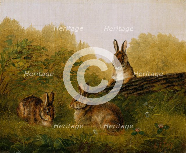 Rabbits on a Log, 1897. Creator: Arthur Fitzwilliam Tait.