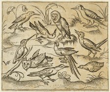 Ten birds sitting on branches and patches of grass, including two owls and a bird..., 1557. Creator: Virgil Solis.