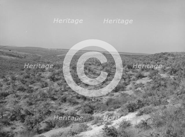 Landscape showing raw land, Nyssa Heights, Malheur County, Oregon, 1939. Creator: Dorothea Lange.