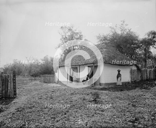 Proprietor's home at Taninul, between 1880 and 1897. Creator: William H. Jackson.