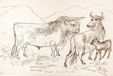 West Highland Cattle, 1825-1839. Creator: James Howe.