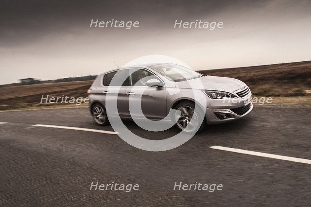 2014 Peugeot 308 THP 156 Feline Artist: Unknown.