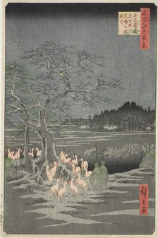 Fox Fires on New Year's Eve at the Changing Tree in Oji (Oji shozoku enoki omisoka no kits..., 1857. Creator: Ando Hiroshige.