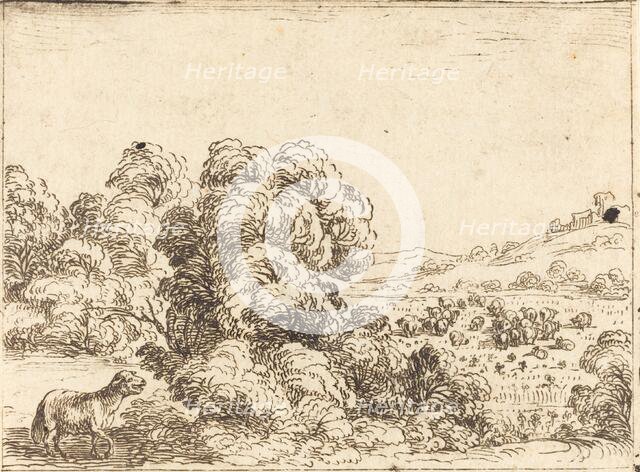 Sheep Calling Lamb. Creator: Jacques Callot.