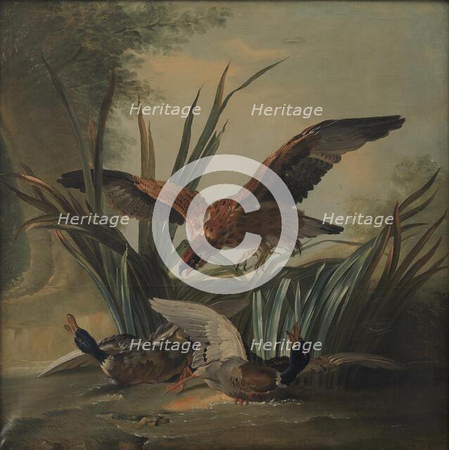 A Hawk Pouncing on a Pair of Ducks, 1701-1755. Creator: Unknown.