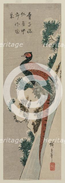 Copper Pheasant by Snowy Waterfall, late 1830s or early 1840s. Creator: Ando Hiroshige (Japanese, 1797-1858).