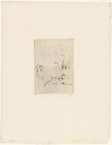 The Duck, 1889. Creator: Berthe Morisot.