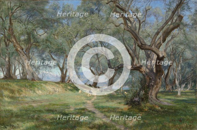 Olive grove in Mentona, 1893. Creator: Christian Zacho.