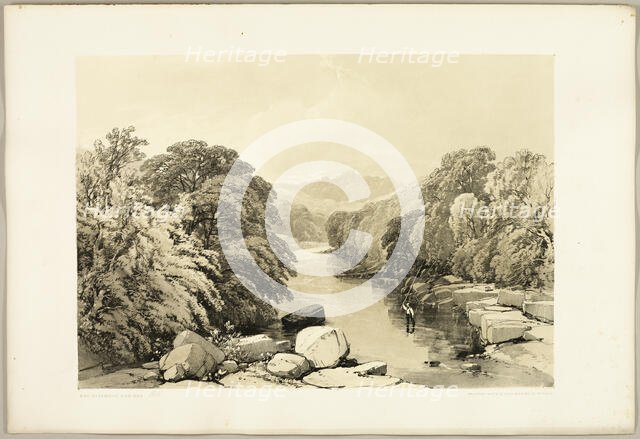 Ash, Sycamore and Oak, from The Park and the Forest, 1841. Creator: James Duffield Harding.