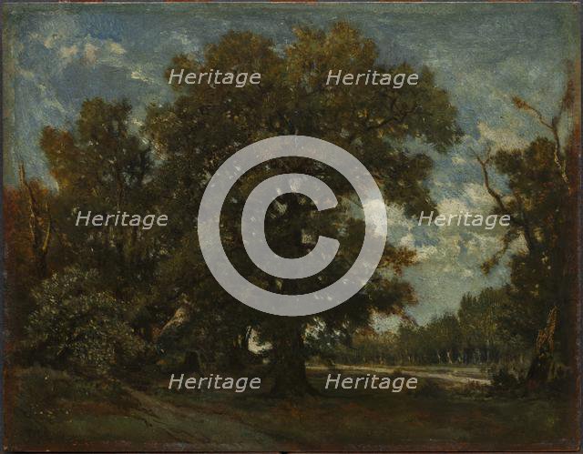 The Oak Tree, 19th century. Creator: Théodore Rousseau (French, 1812-1867), imitator of.