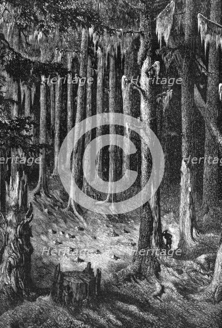 Yosemite National Park, USA, c1875. Artist: Unknown