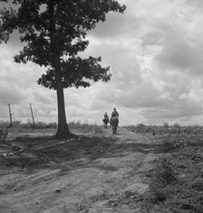Sons of Negro tenant farmer go off visiting on Saturday..., Granville County, North Carolina, 1939. Creator: Dorothea Lange.