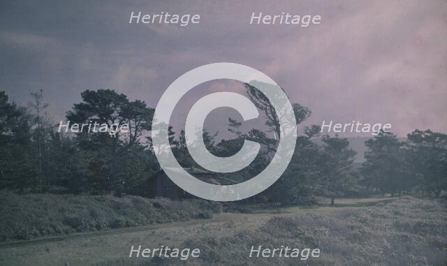 Arnold Genthe's bungalow in Carmel, California, between 1906 and 1911. Creator: Arnold Genthe.