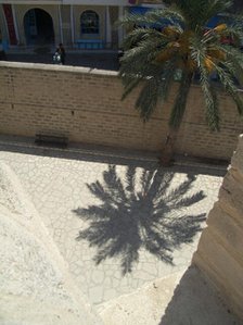 Palm tree and shadow, Sousse, Tunisia, 2009. Creator: Amanda Waite.