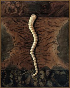 Parasites: a parasitical worm, shown much enlarged, with its hosts, c1930. Creator: J Svoboda.