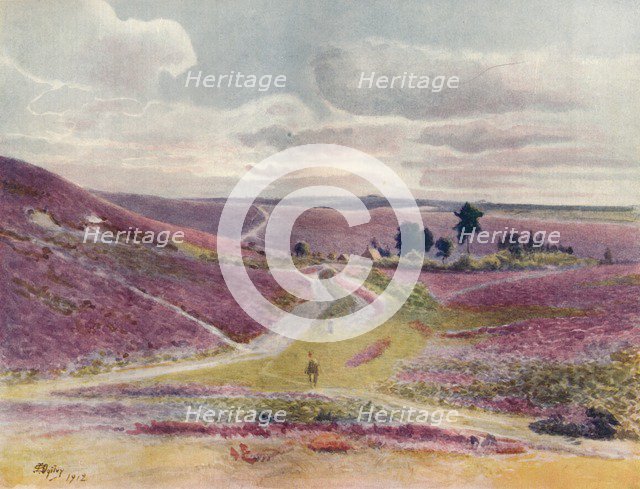 'Moorland at Frensham', 1912, (1914). Artist: James S Ogilvy.