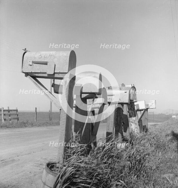 Mail boxes of lettuce workers. Settlement on outskirts of Salinas, California, 1939. Creator: Dorothea Lange.
