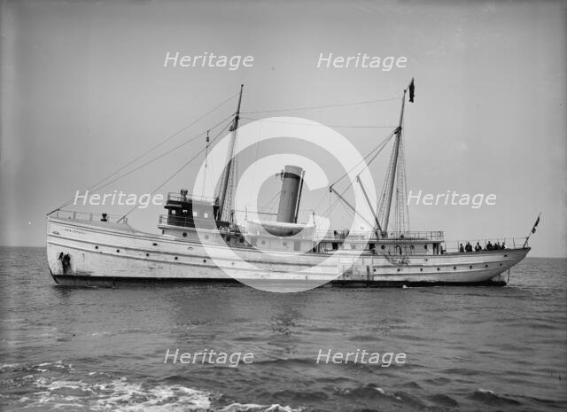 Steam pilot boat New Jersey, between 1900 and 1905. Creator: Unknown.