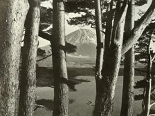 'Fuji and the Pine Trees', 1910. Creator: Herbert Ponting.