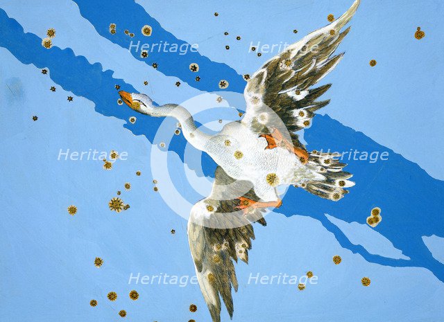 Constellation of Pisces, 1603. Artist: Alexander Mair