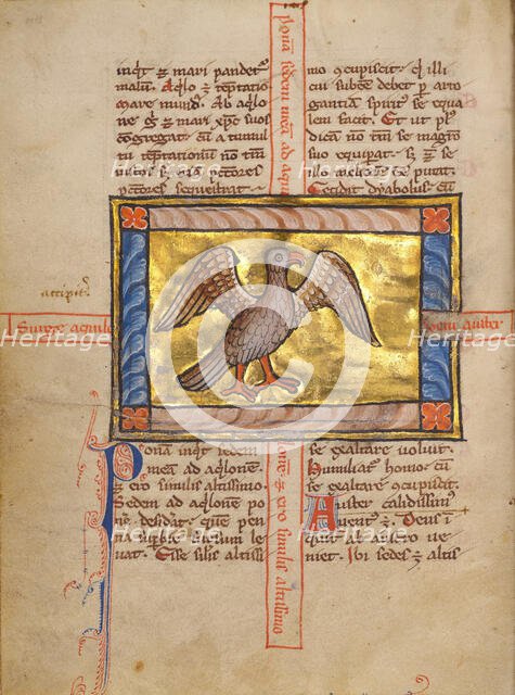 A Falcon; Bestiary, about 1270. Creator: Unknown.